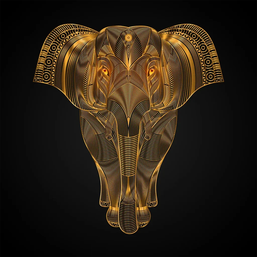 Vector Illustrations